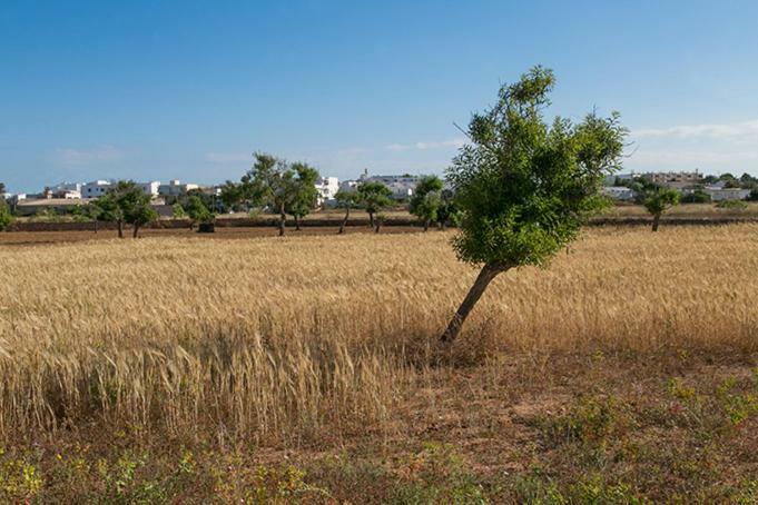Ca Na Maria Teueta Apartman San Ferrán de ses Roques Kültér fotó