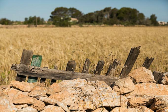 Ca Na Maria Teueta Apartman San Ferrán de ses Roques Kültér fotó